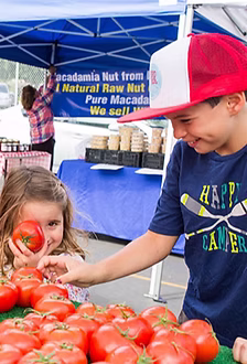LJ OPEN AIRE MARKET